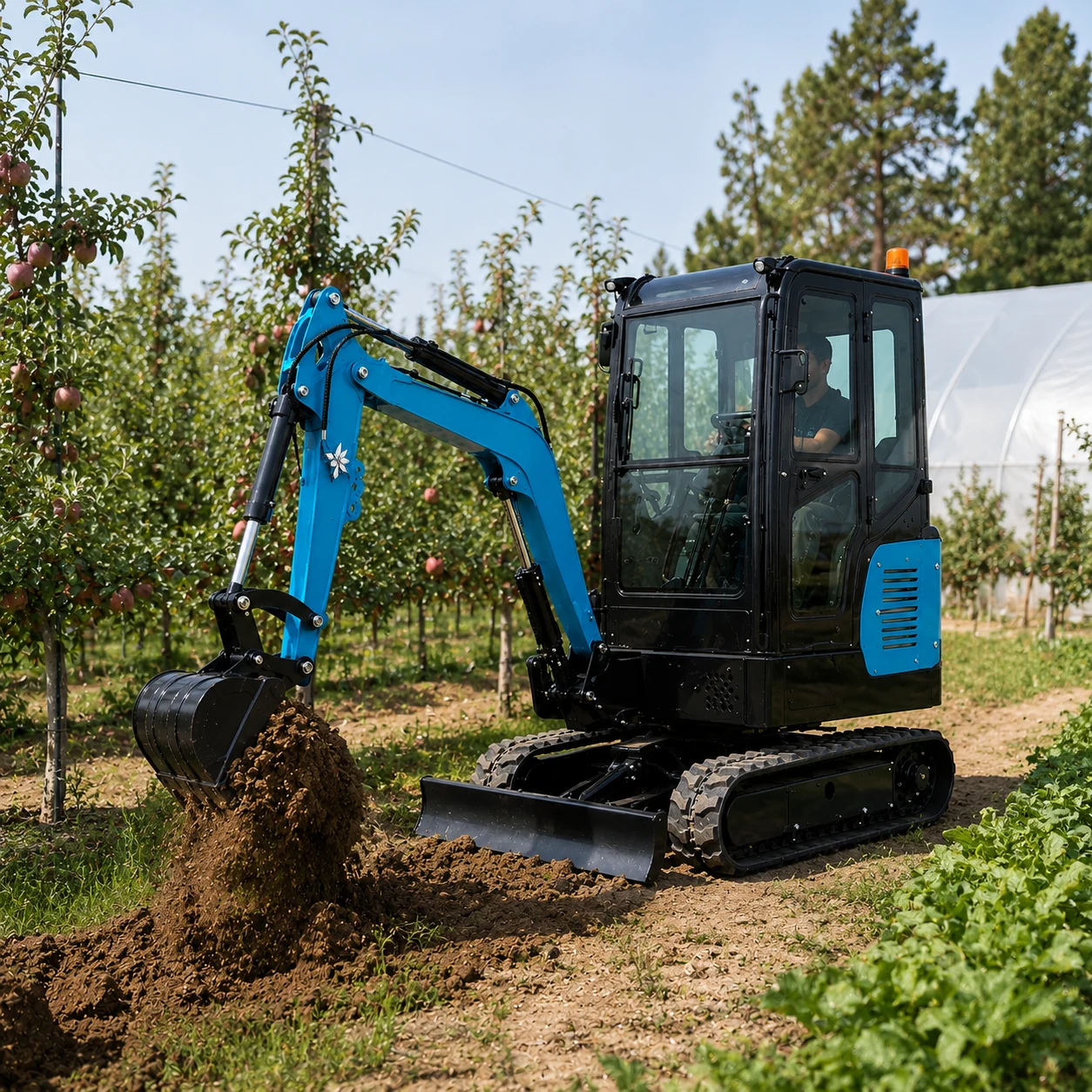 Orchard & Farm